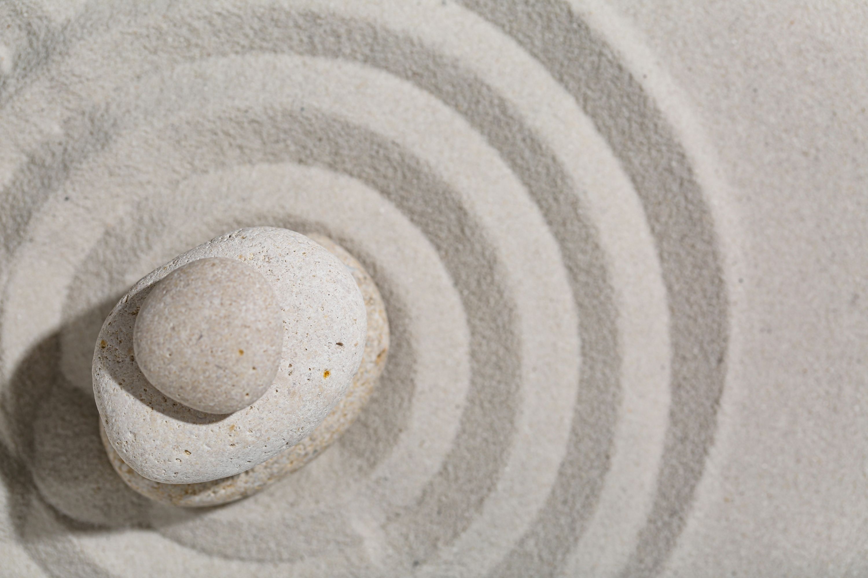 Zen Laundry Shutterstock 2689894967