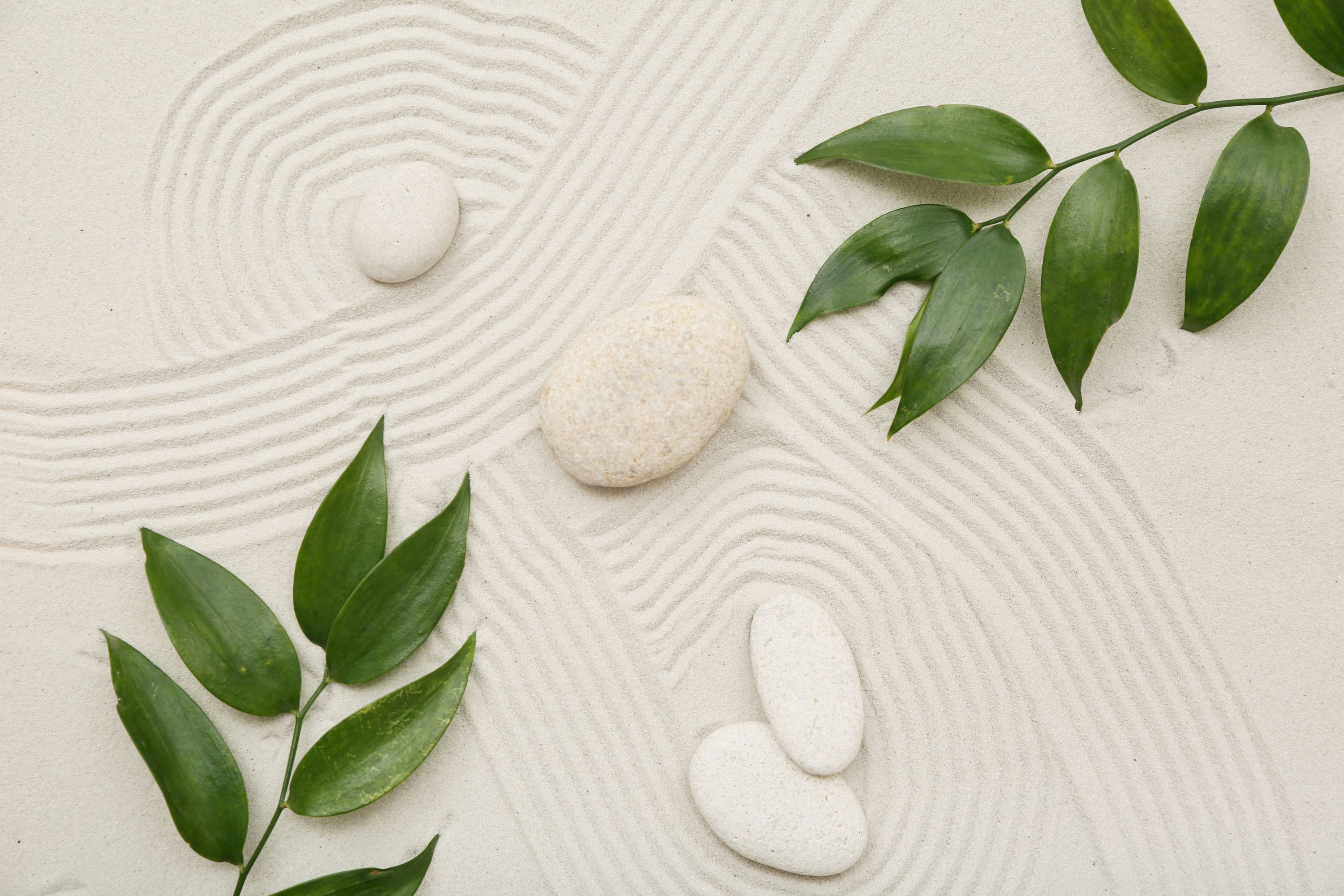Zen Laundry Shutterstock 2692331983
